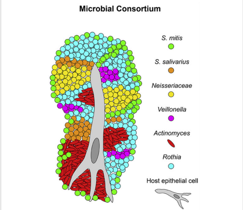 Day la nhung gi dang dien ra tren luoi cua chung ta anh 1