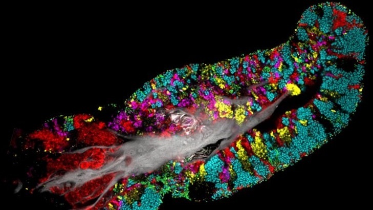 Day la nhung gi dang dien ra tren luoi cua chung ta hinh anh