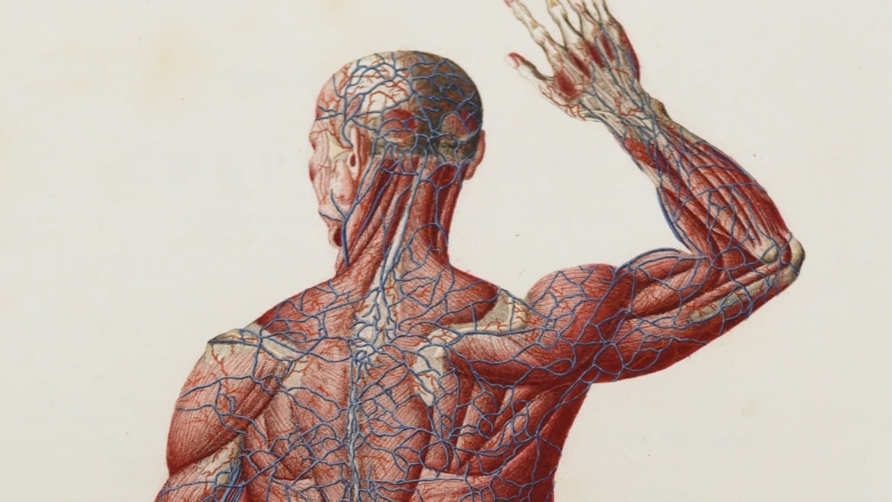 Nghien cuu moi cho thay 'Cai lao hoan dong' la co that anh 2