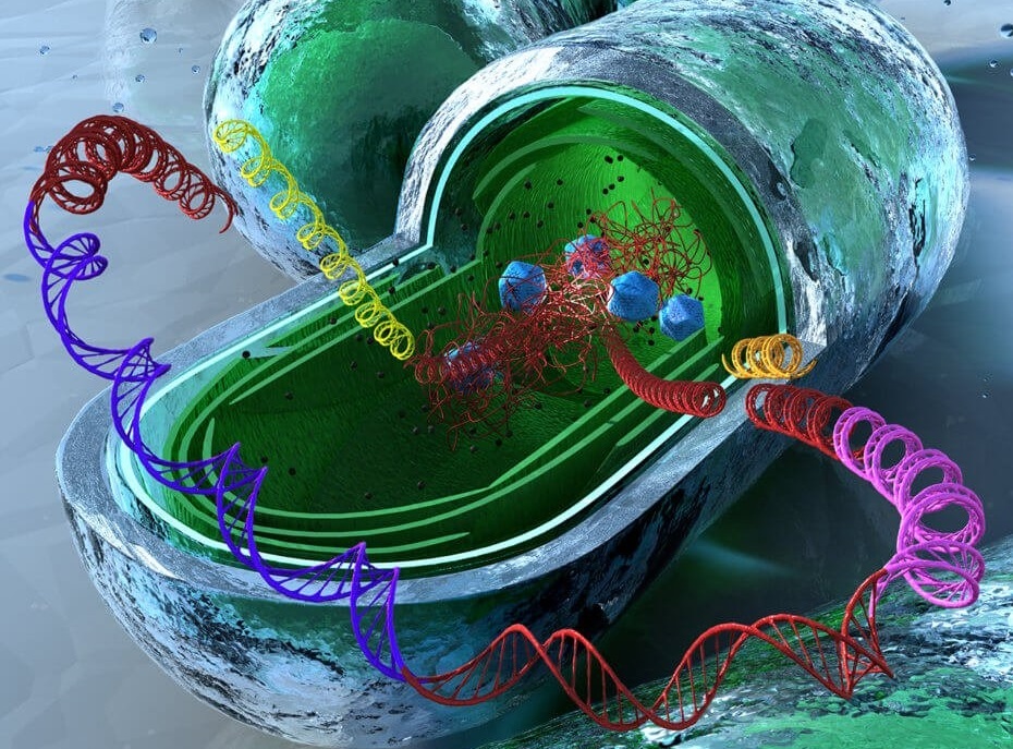 Sinh hoc tong hop trong dieu che vaccine Covid-19 anh 2