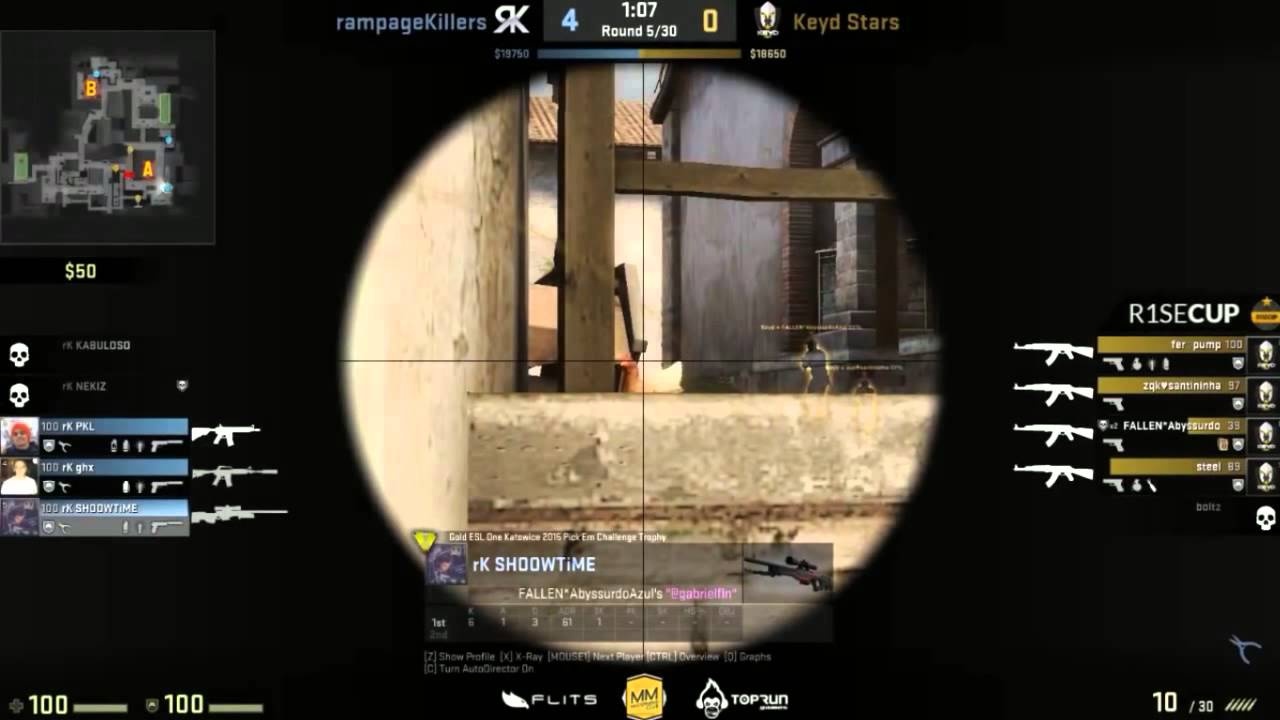 Lich su ga trong CS:GO anh 3