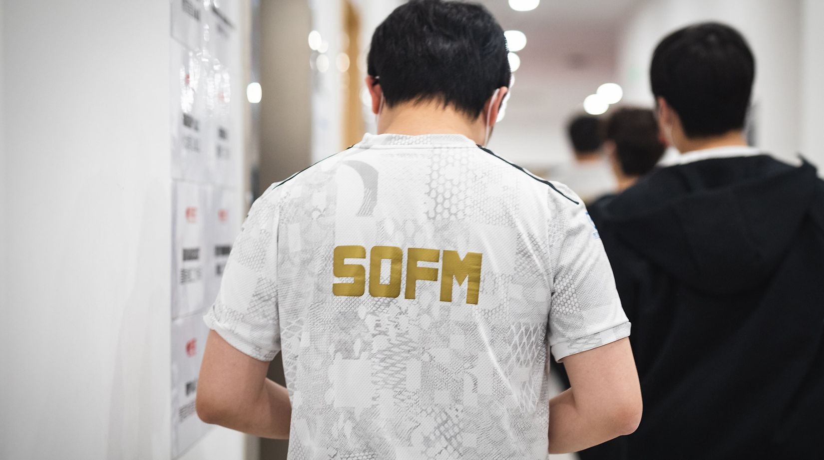 7 pha xu ly dang cap cua SofM tai vong bang hinh anh