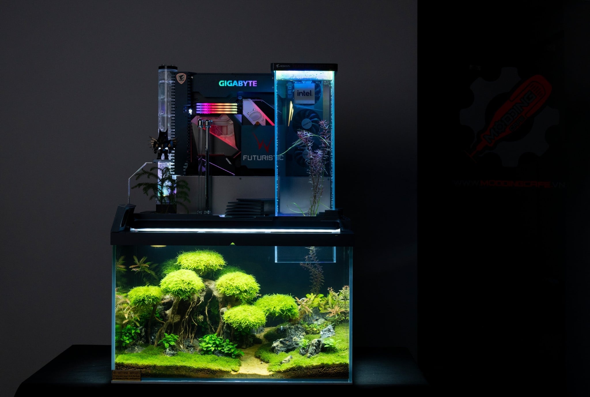 Dan PC ket hop thuy sinh cua Pew Pew anh 10