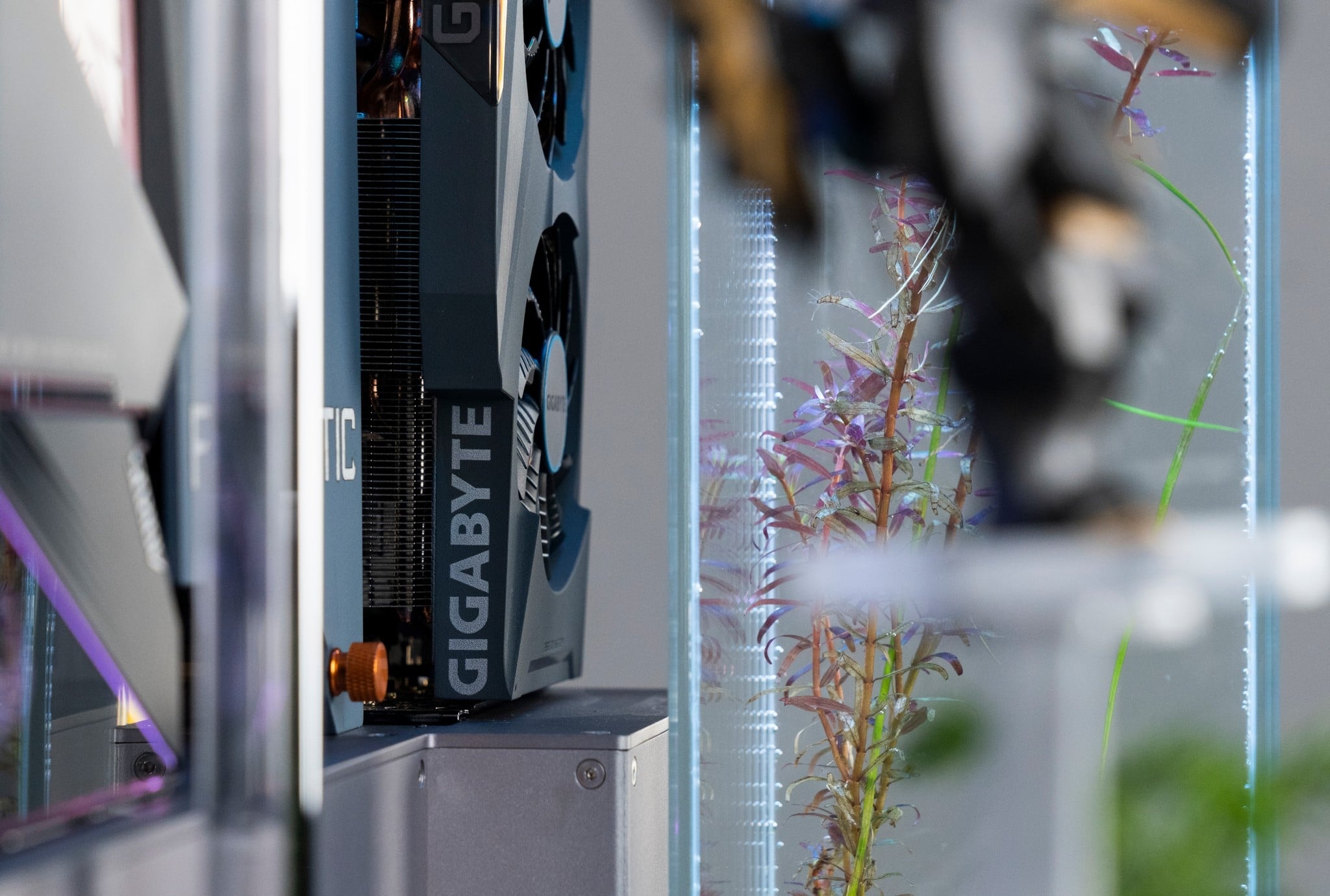 Dan PC ket hop thuy sinh cua Pew Pew anh 3