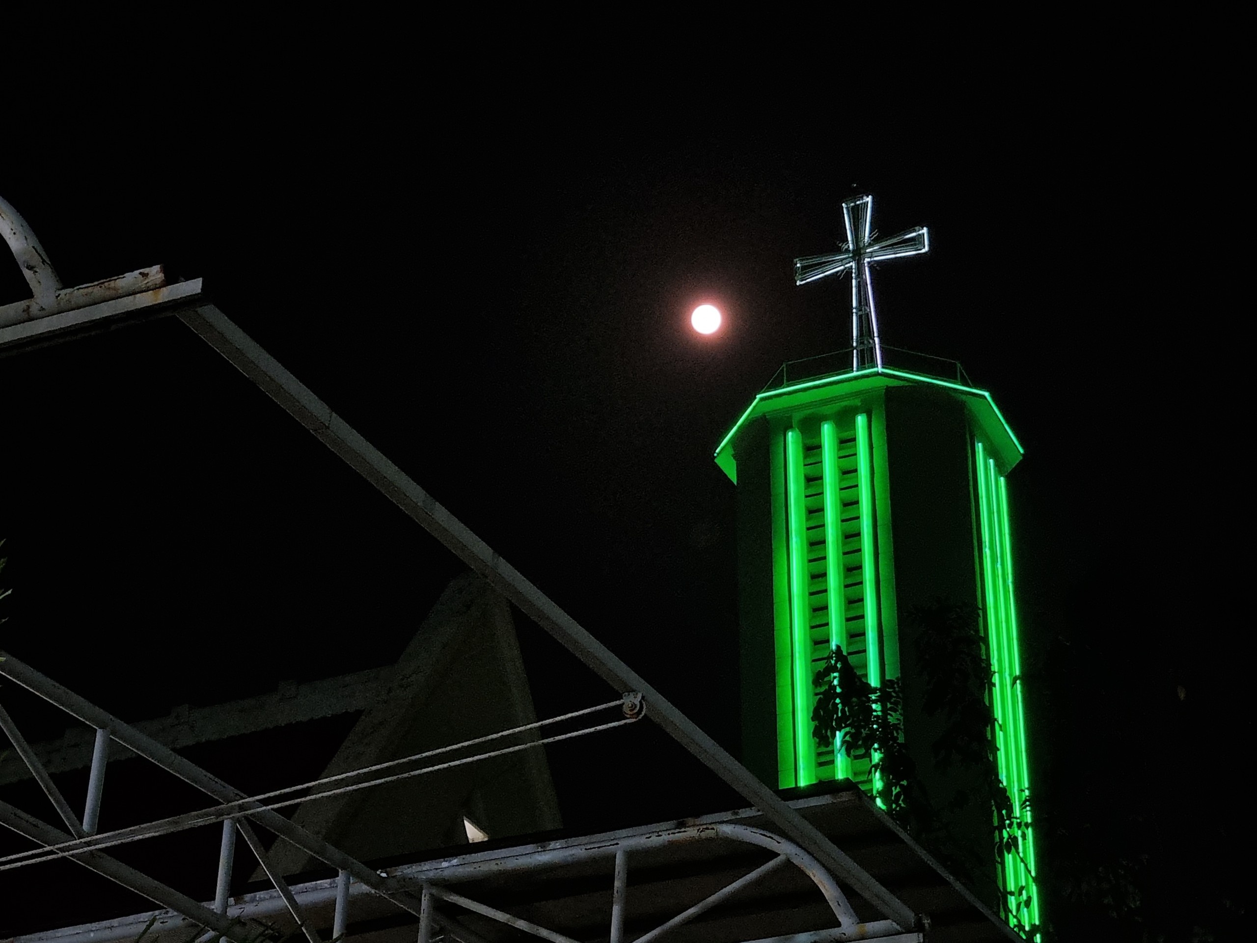 Sieu trang giun quan sat tai Viet Nam anh 2