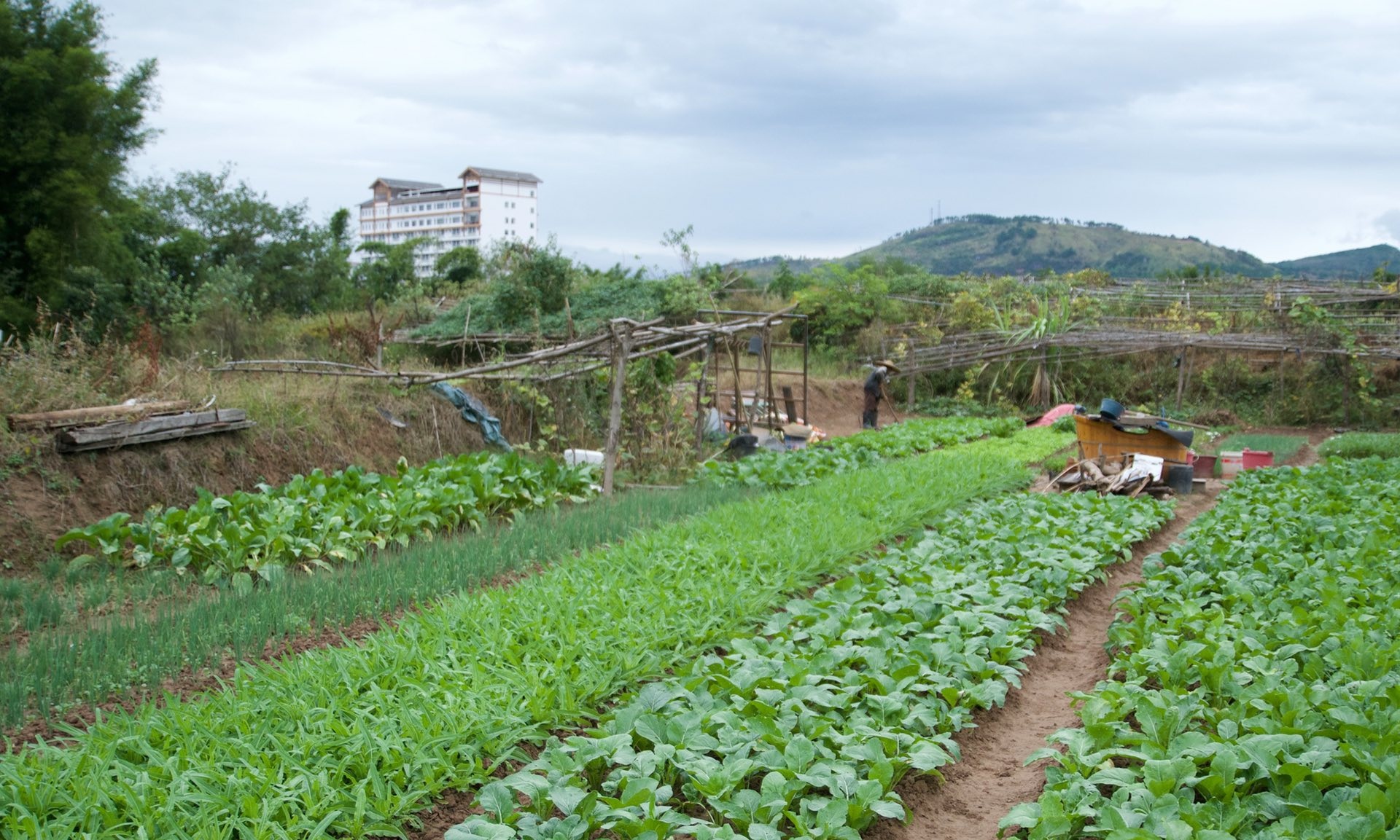 sông ô nhiễm ở Quế Lâm ảnh 3 song o nhiem o Que Lam anh 3