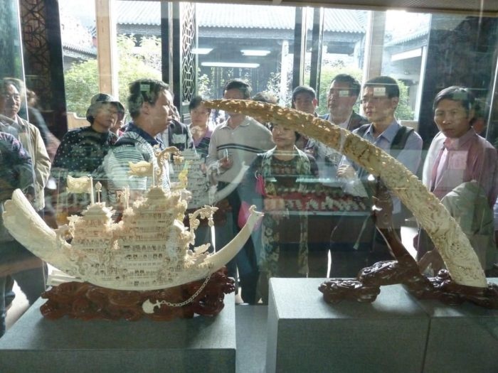 ngà voi Trung Quốc ảnh 5 nga voi Trung Quoc anh 5