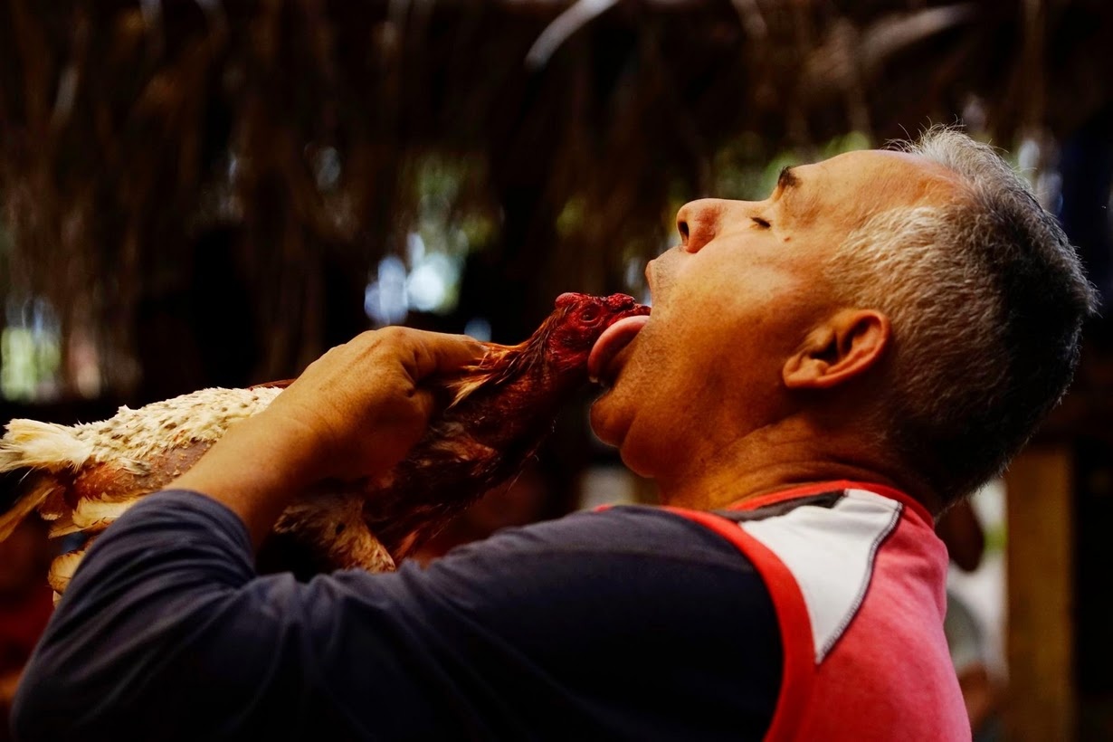 choi ga o Cuba anh 11