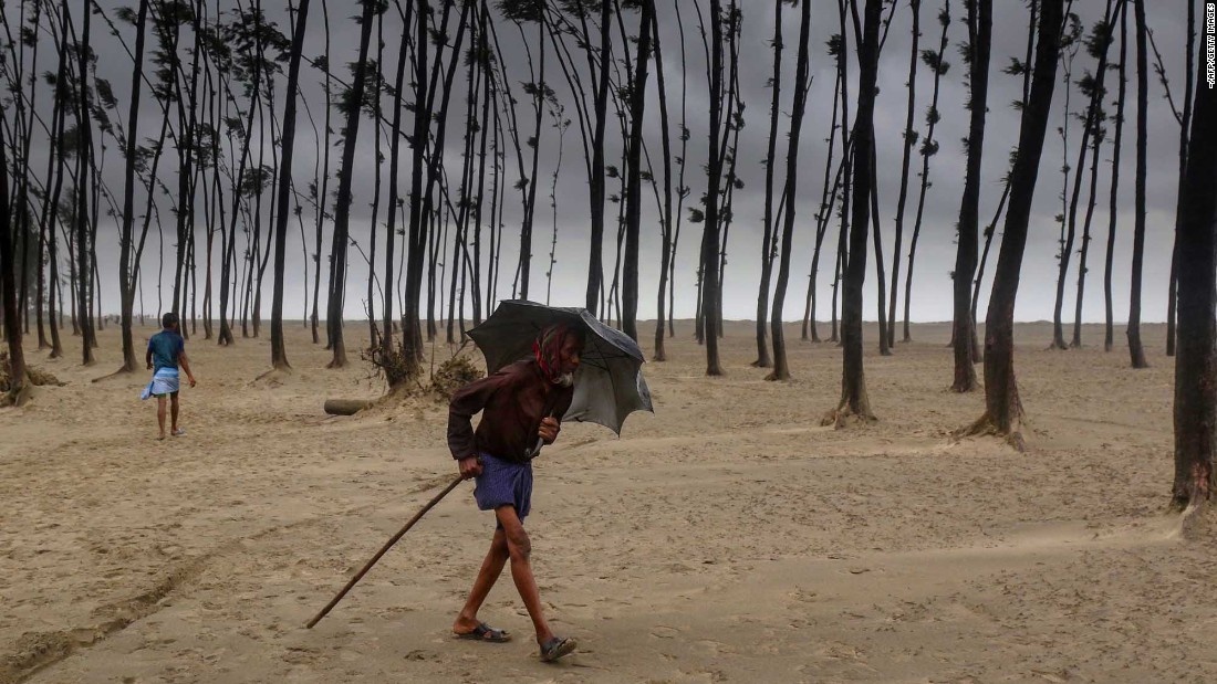 tổng thống Mỹ Donald Trump ảnh 4 tong thong My Donald Trump anh 4