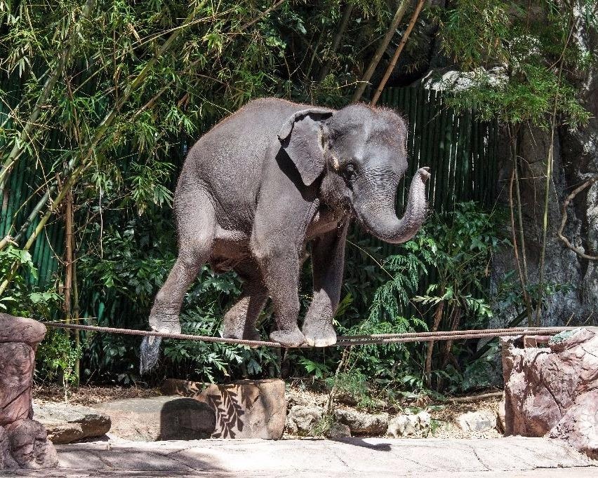 Thai Lan dan dau nhom nuoc chau A lam dung voi du lich hinh anh