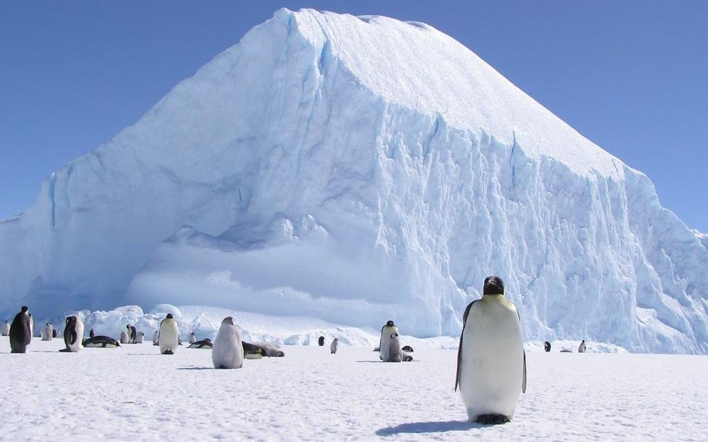 Bang tan de doa su song con cua nhieu vung dat ven bien hinh anh