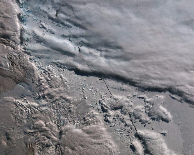 Vet nut moi gan noi tang bang 1.000 ty tan tach khoi Nam Cuc hinh anh