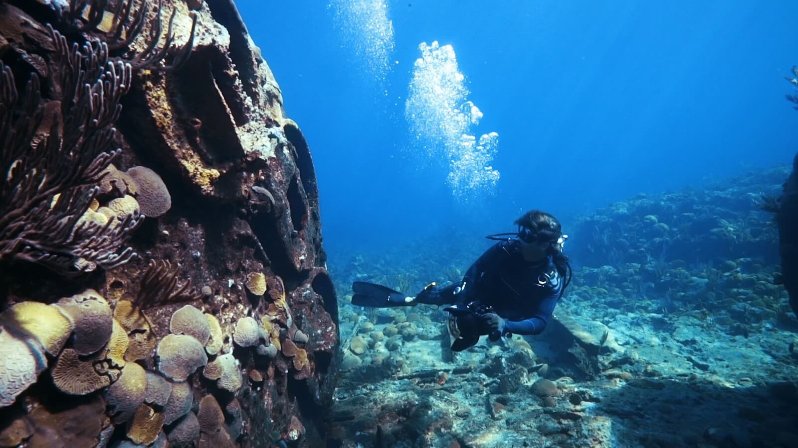 tam giác quỷ Bermuda ảnh 4 tam giac quy Bermuda anh 4