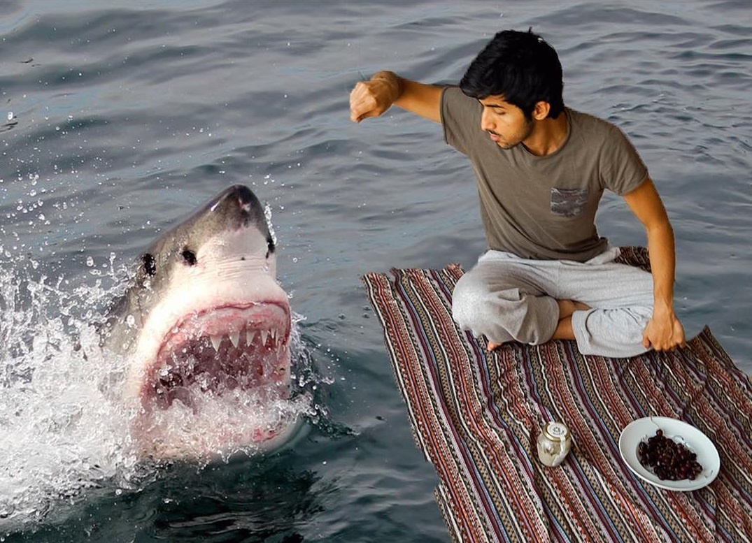 Cuoc song nhu mo cua cac ngoi sao mang xa hoi o Dubai hinh anh