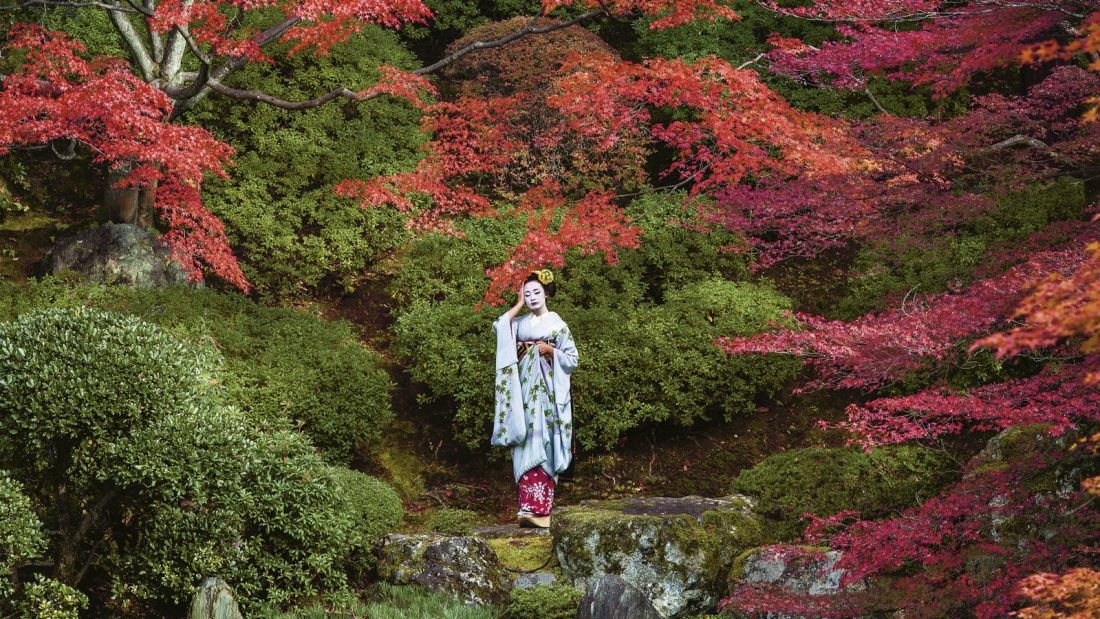 geisha Nhật Bản ảnh 7 geisha Nhat Ban anh 7