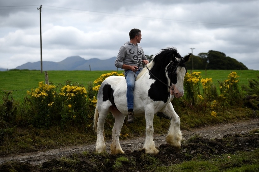 vua de o Ireland anh 9