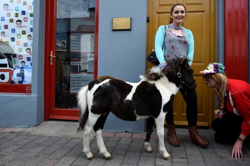 vua de o Ireland anh 10