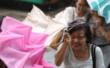 Hong Kong nang canh bao cao nhat trong 5 nam de don bao Hato hinh anh