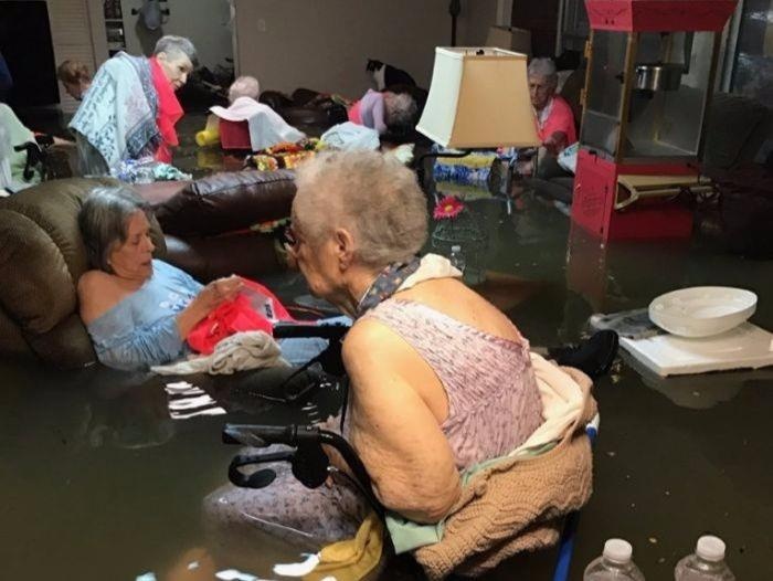 Cac cu gia duoc giai cuu trong bao Harvey nho buc anh gay soc hinh anh