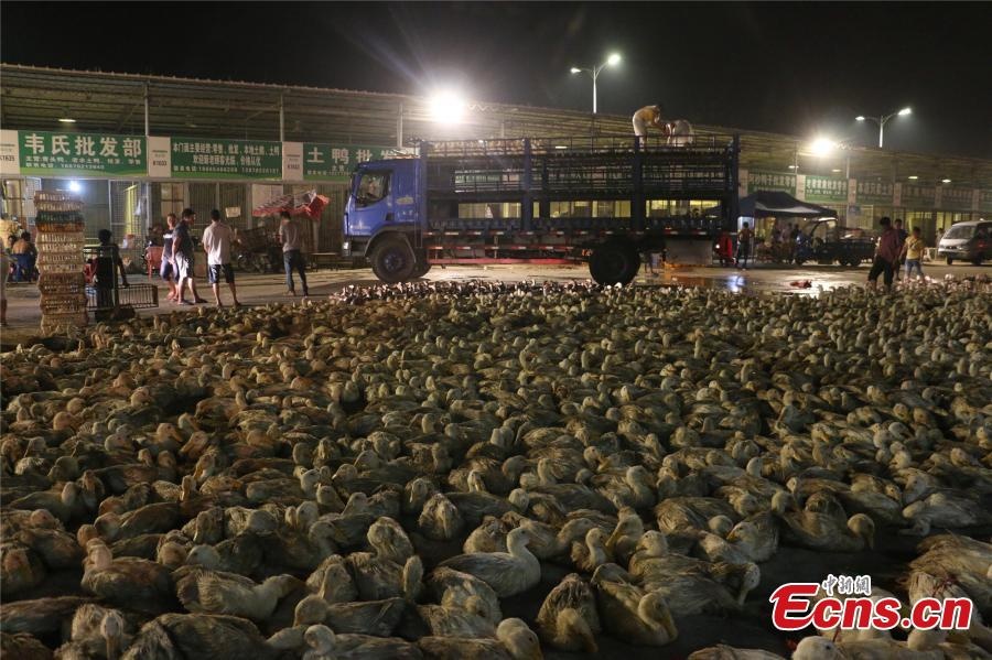 lễ Vu Lan ở Trung Quốc ảnh 4 le Vu Lan o Trung Quoc anh 4