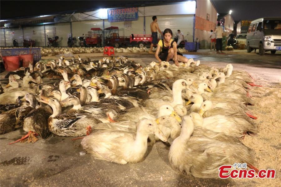 lễ Vu Lan ở Trung Quốc ảnh 5 le Vu Lan o Trung Quoc anh 5