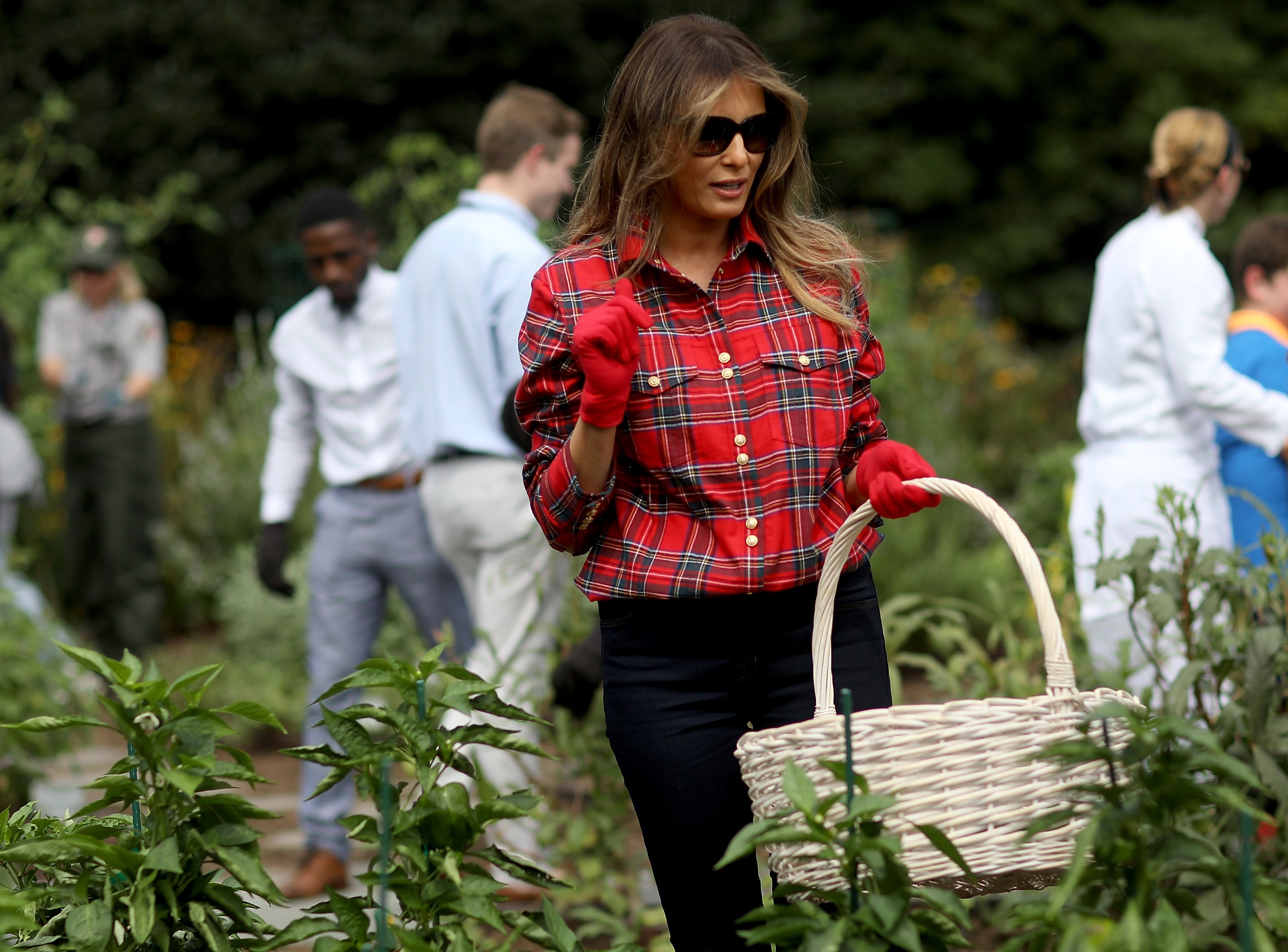Melania Trump ảnh 1 Melania Trump anh 1
