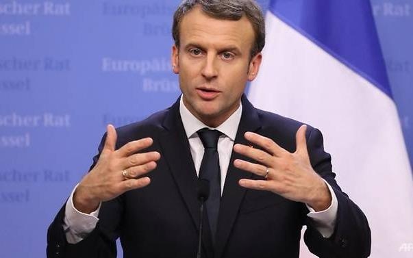 Macron phan bac chi trich vi to chuc sinh nhat xa hoa tai lau dai hinh anh