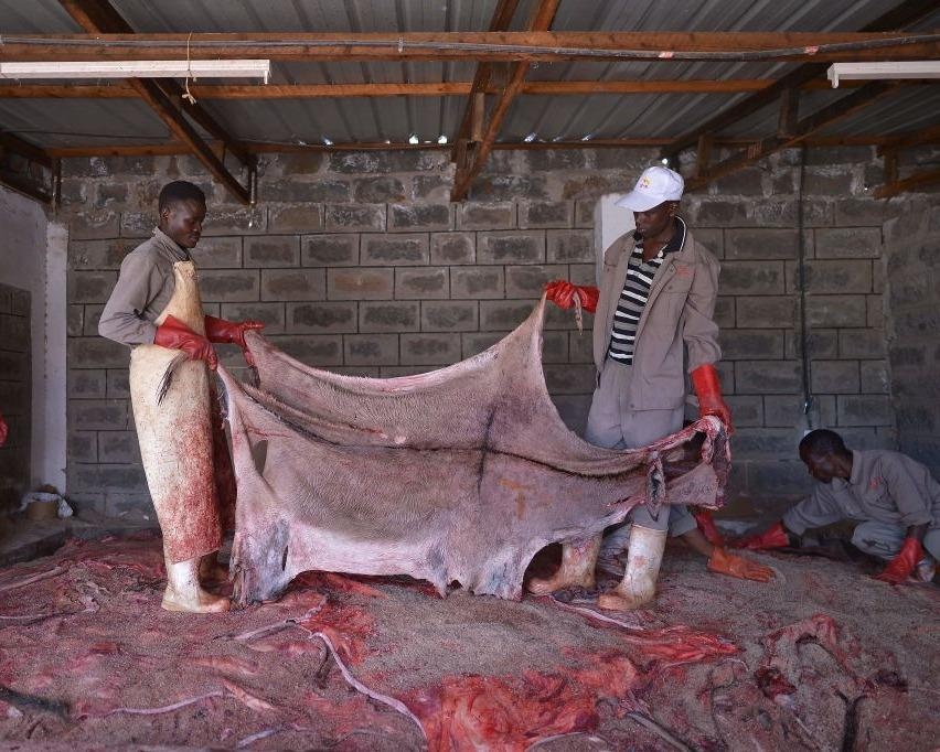 Da lua Nigeria bi Trung Quoc san lung de lam 'than duoc' hinh anh