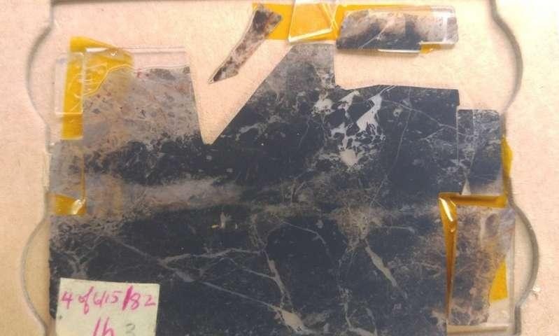 hóa thạch sự sống ảnh 1 hoa thach su song anh 1