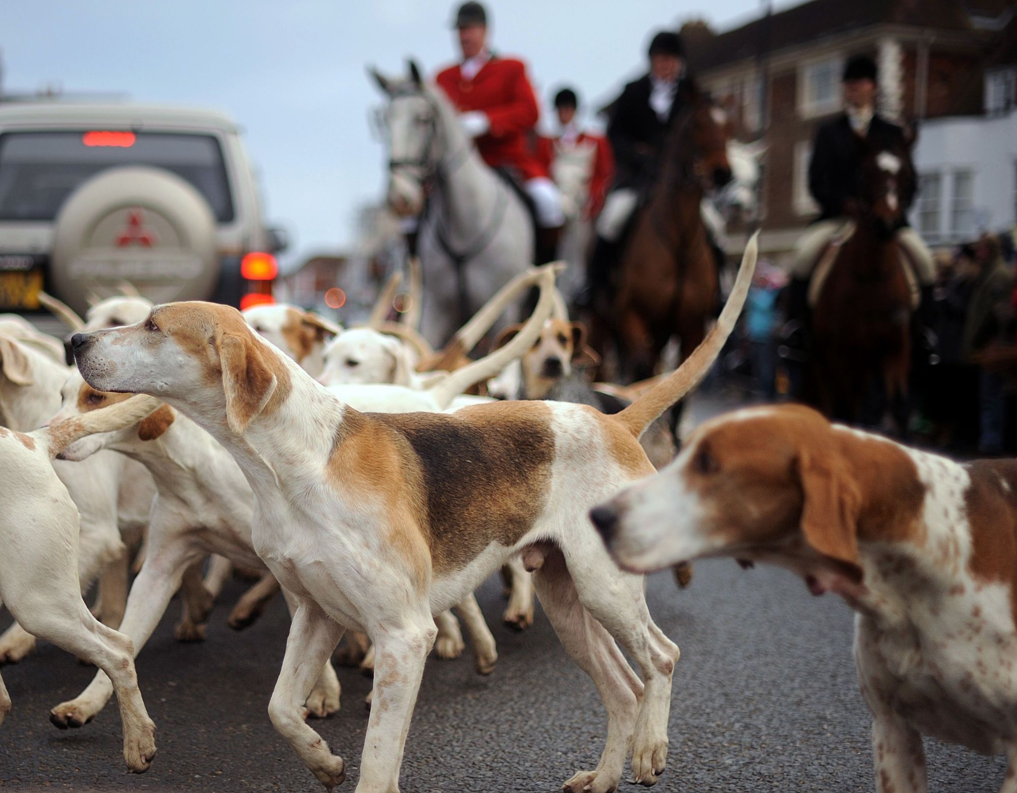 San cao tro thanh tranh cai chinh tri o Anh hinh anh