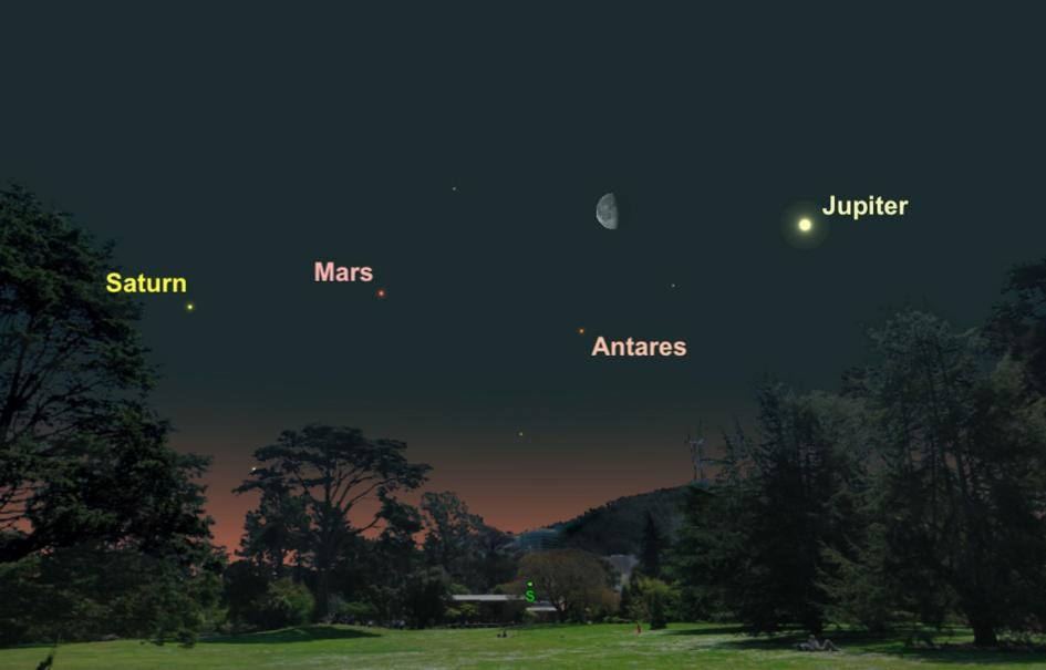 thien van 2018 anh 2