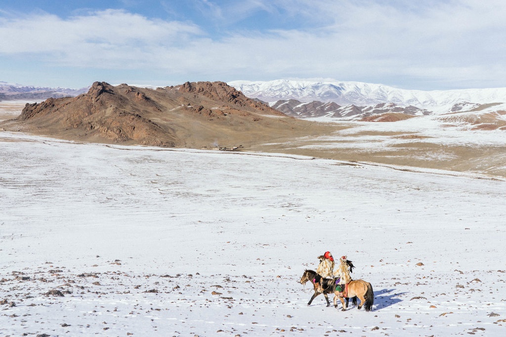 săn sói ở Mông Cổ ảnh 2 san soi o Mong Co anh 2