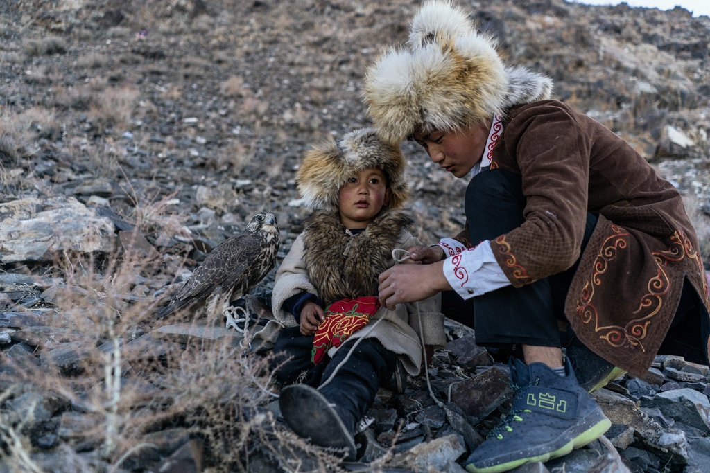 săn sói ở Mông Cổ ảnh 4 san soi o Mong Co anh 4