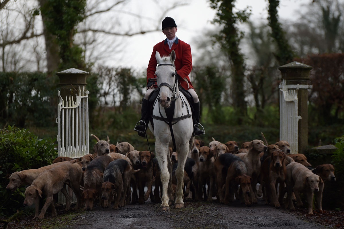 thanh pho New York anh 10