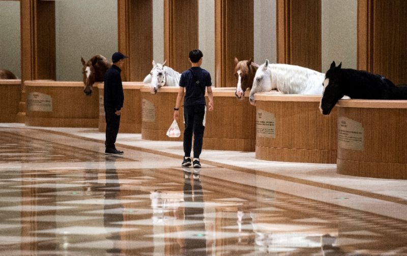 cau lac bo cuoi ngua anh 1