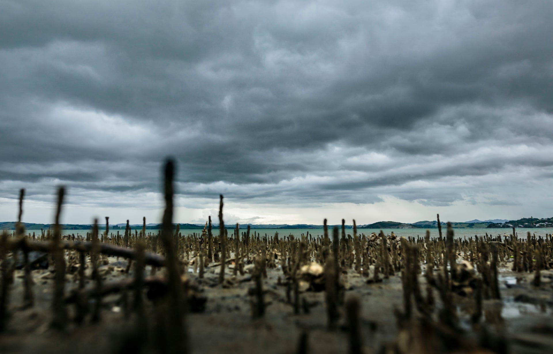 bo toc New Zealand anh 9