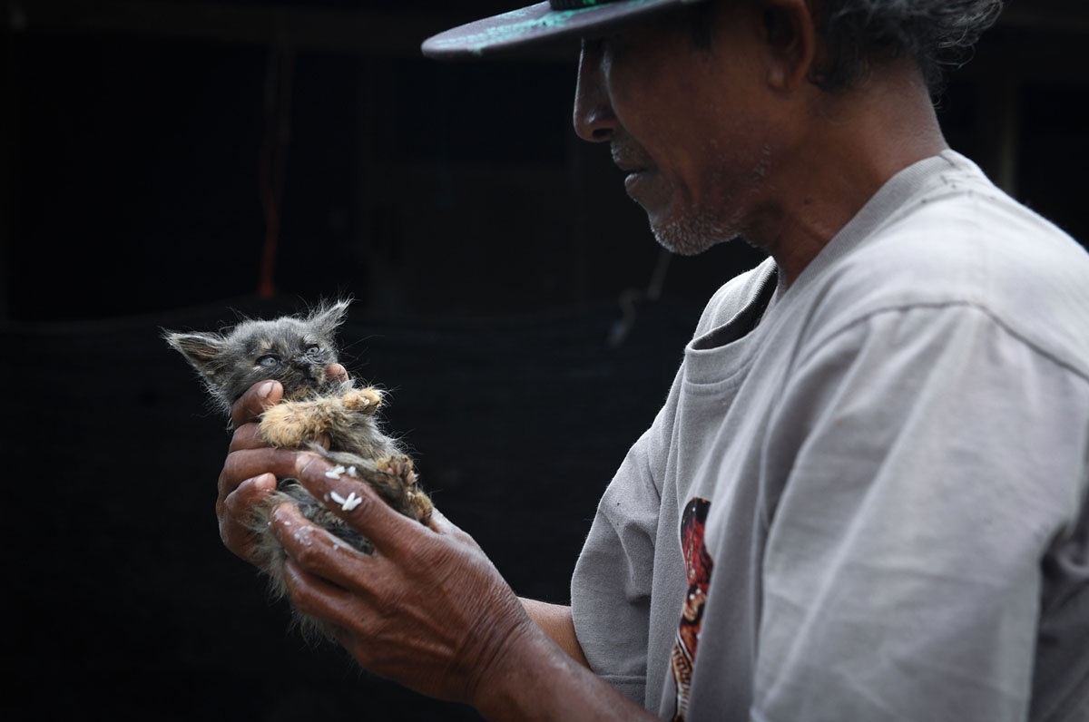 Kim Jong Un den Bac Kinh anh 11