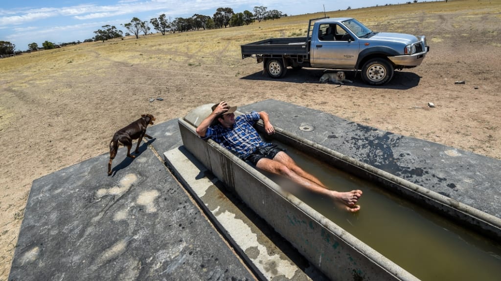 nang nong o Australia anh 6