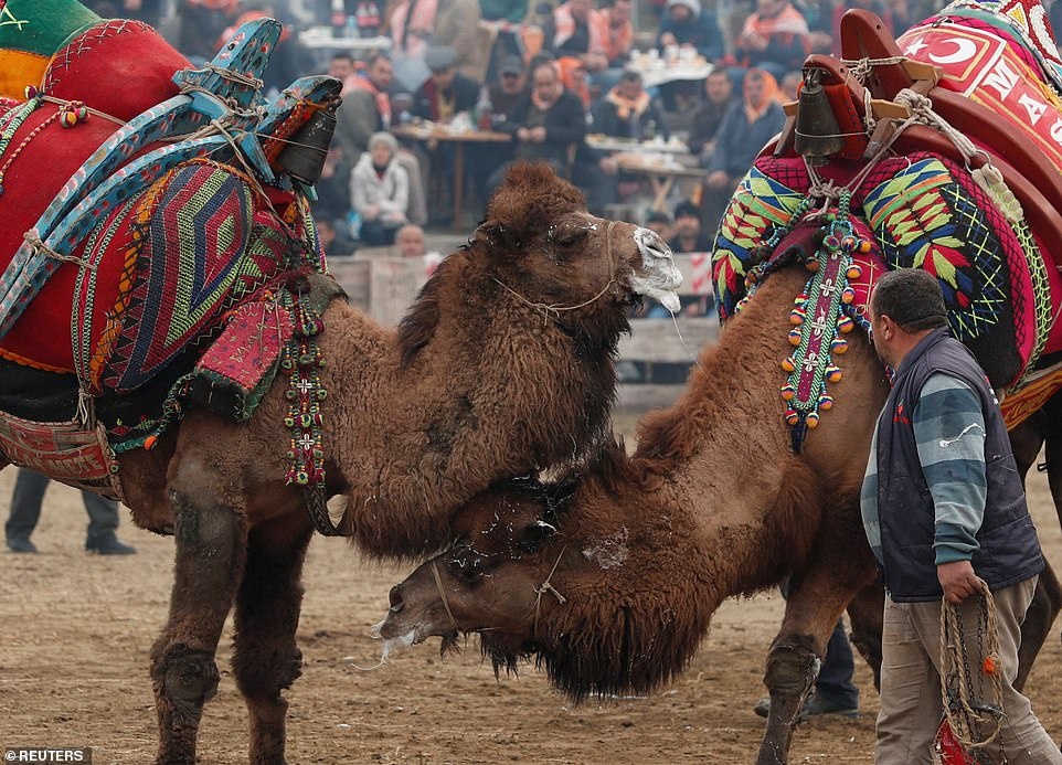 dau vat lac da anh 1