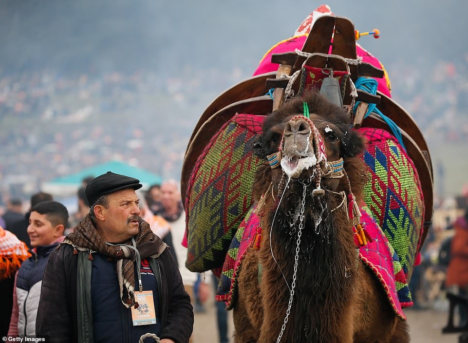 dau vat lac da anh 9