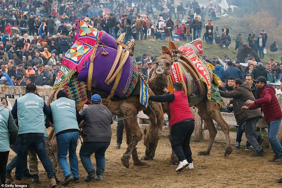 dau vat lac da anh 10