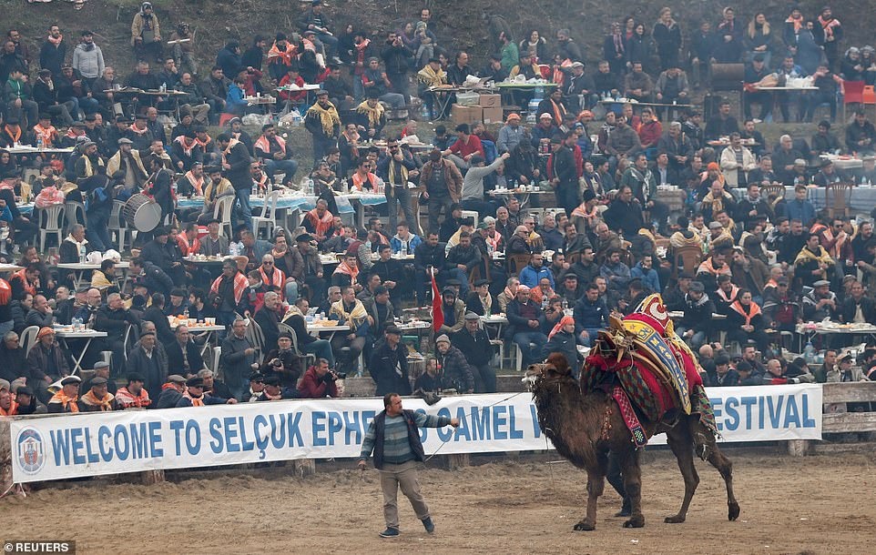 dau vat lac da anh 12