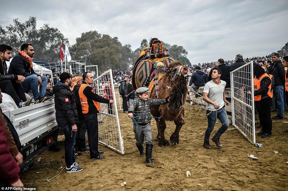 dau vat lac da anh 13