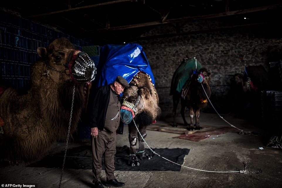 dau vat lac da anh 14