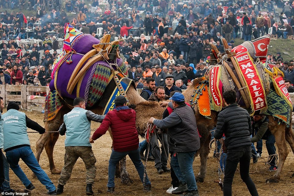 dau vat lac da anh 4