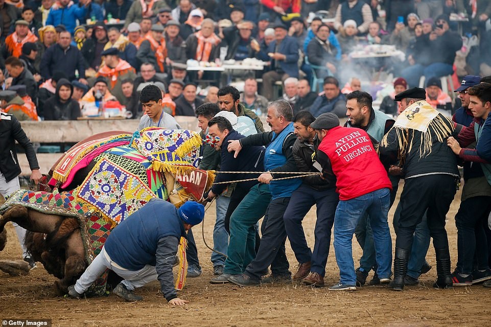 dau vat lac da anh 5