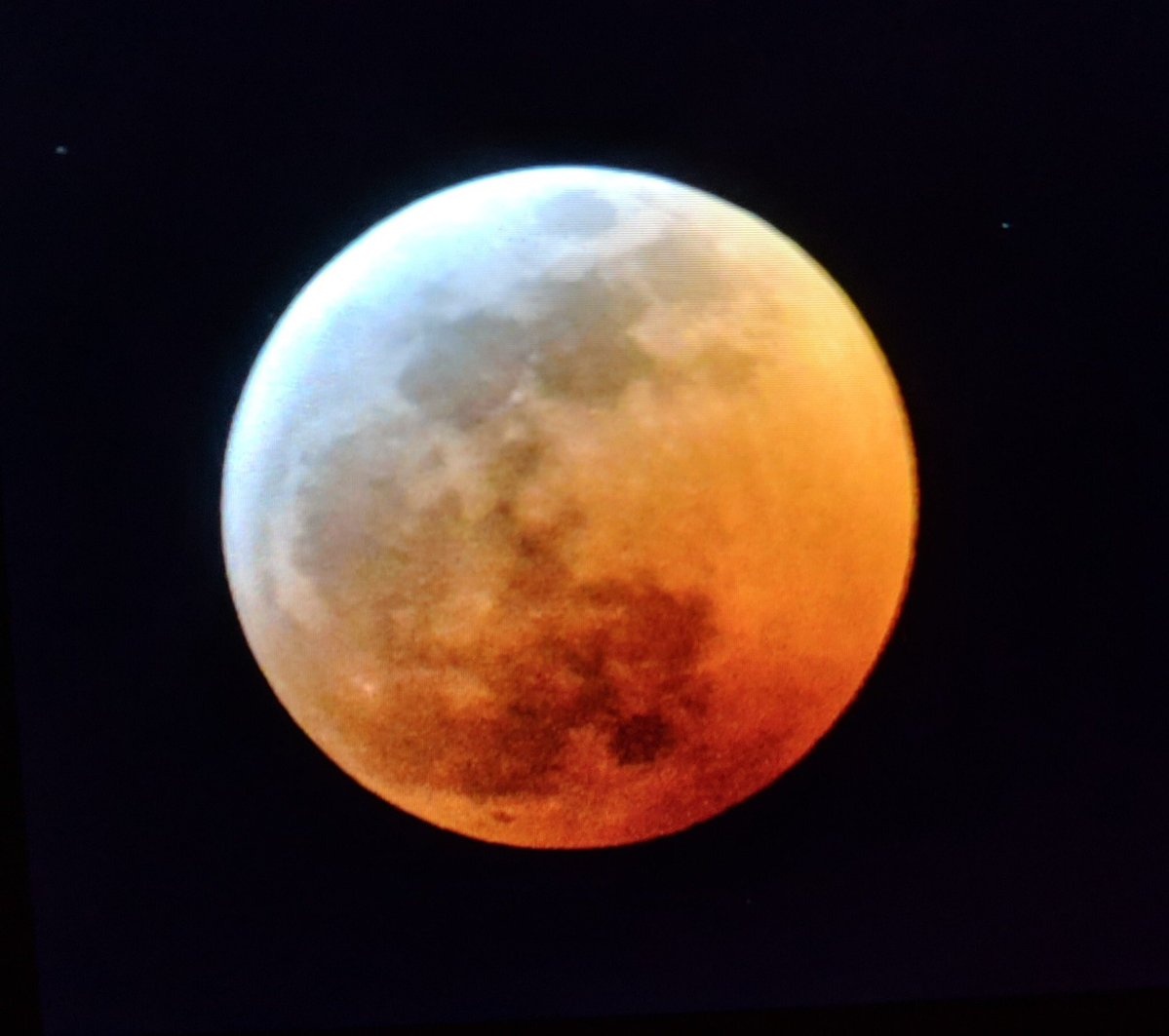 sieu trang mau 2019 anh 11