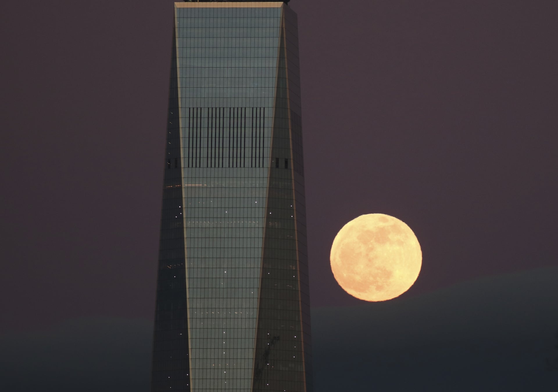 sieu trang mau 2019 anh 7