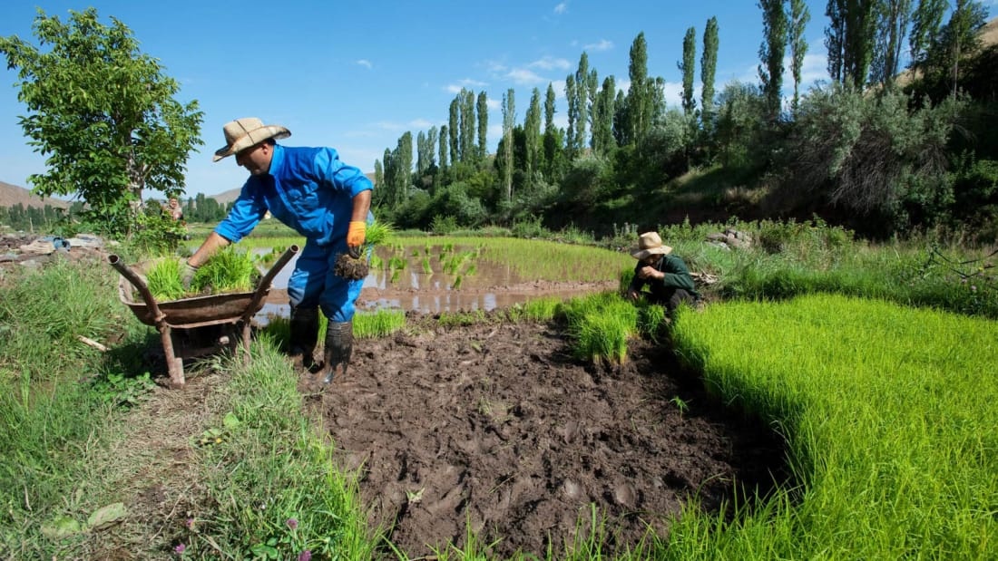 lau dai Alamut anh 6