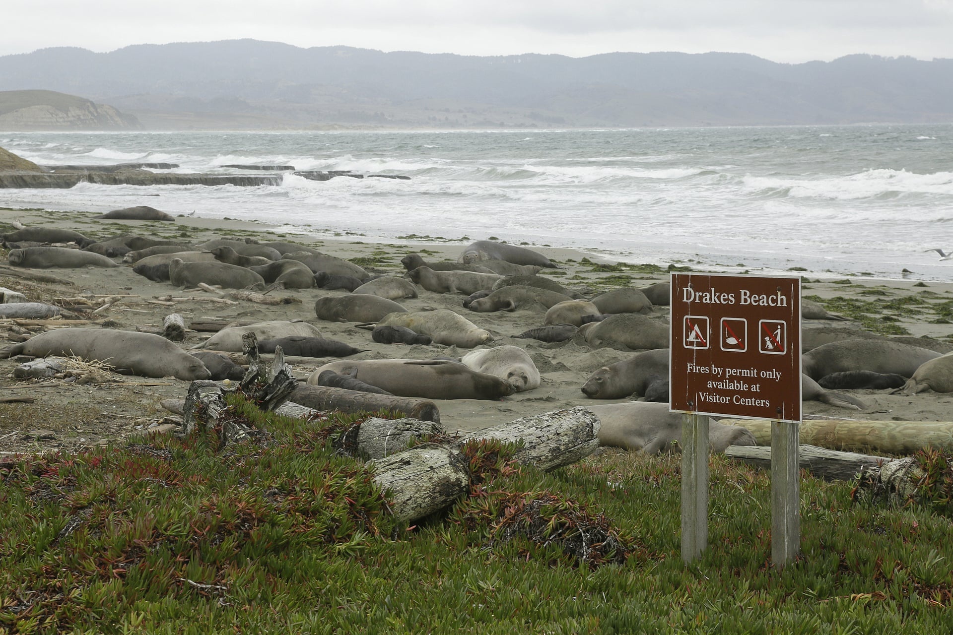 chinh phu My dong cua anh 2